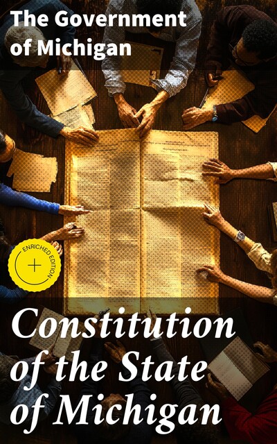 Constitution of the State of Michigan, The Government of Michigan