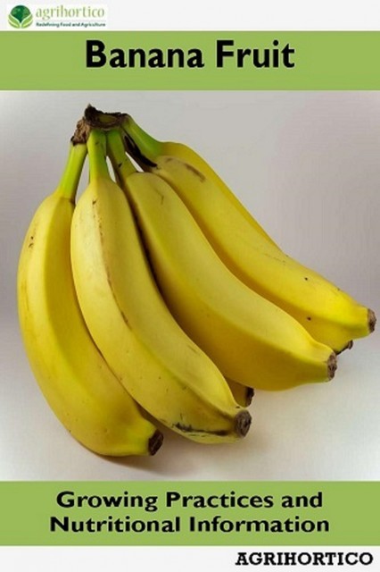 Banana Fruit, Agrihortico CPL
