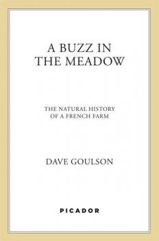 A Buzz in the Meadow, Dave Goulson