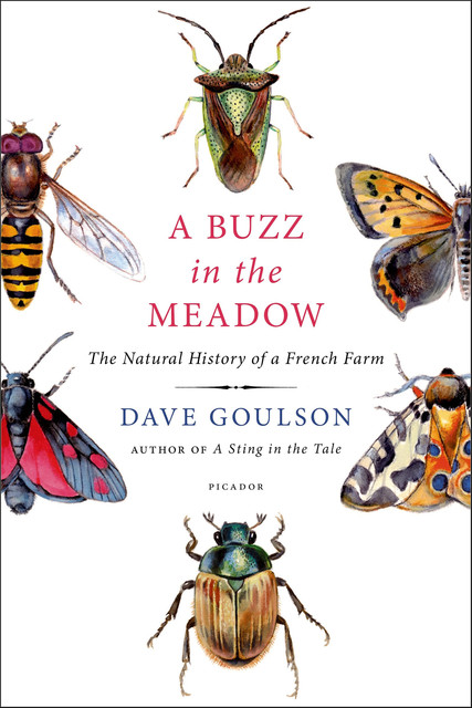 A Buzz in the Meadow, Dave Goulson