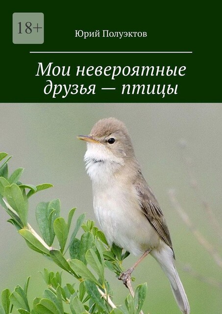 Мои невероятные друзья — птицы, Юрий Полуэктов
