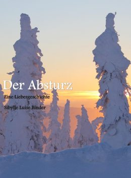 Der Absturz, Sibylle Luise Binder