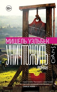 Уничтожить, Мишель Уэльбек