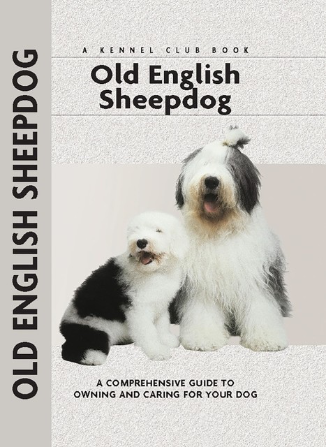 Old English Sheepdog, Ann Arch