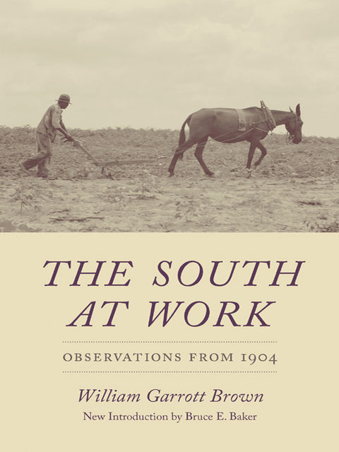 The South at Work, William Garrott Brown