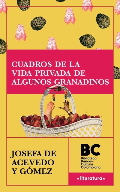Cuadros de la vida privada de algunos granadinos, Josefa Acevedo de Gómez