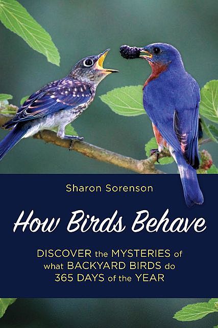 How Birds Behave, Sharon Sorenson