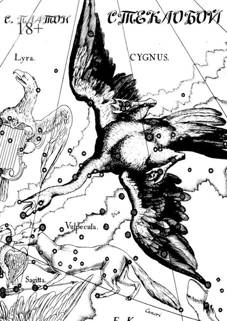 Стеклобой. Киноповесть, Сергей Платон