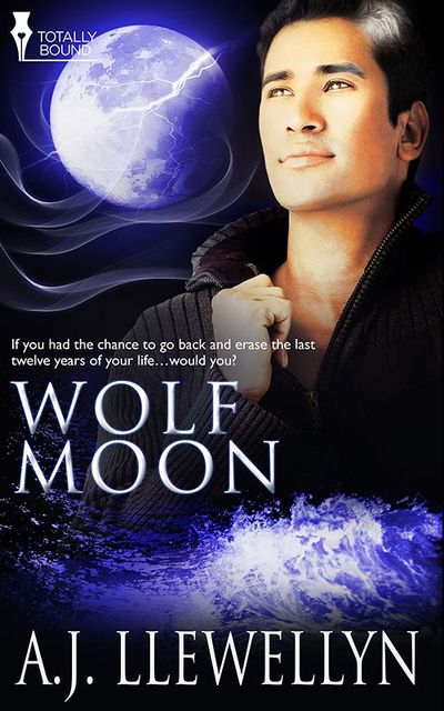 Wolf Moon, A.J.Llewellyn