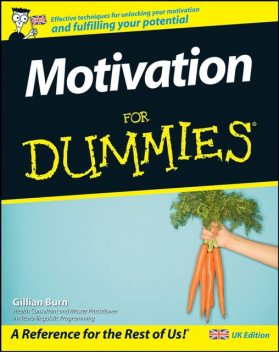 Motivation For Dummies, Gillian Burn