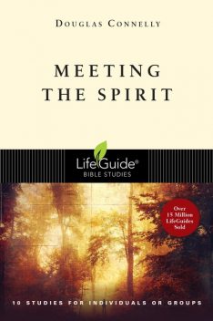Meeting the Spirit, Douglas Connelly