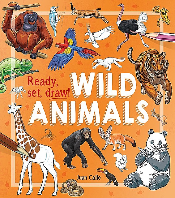 Ready, Set, Draw!: Wild Animals, Juan Calle