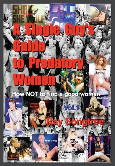 A Single Guy's Guide to Predatory Women (Vol. 1, Lipstick and War Crimes Series), Ray Songtree