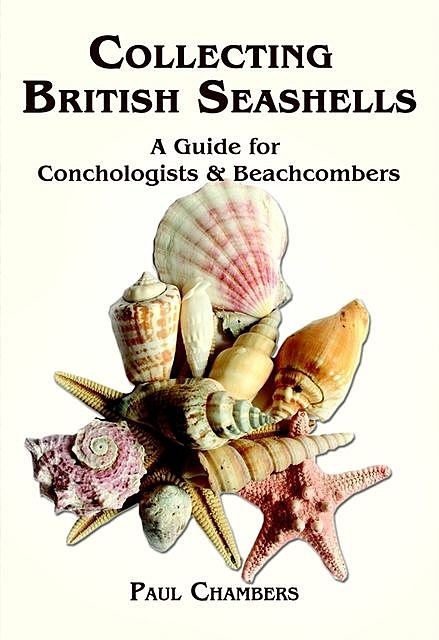 British Seashells, Paul Chambers