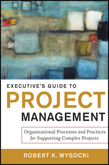 Executive's Guide to Project Management, Robert K.Wysocki