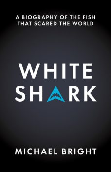 White Shark, Michael Bright