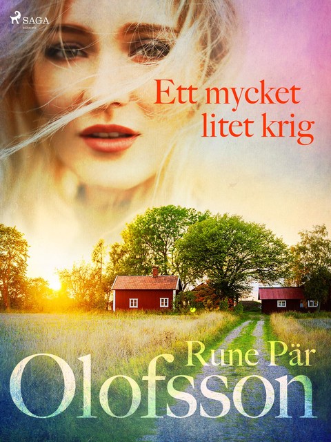 Ett mycket litet krig, Rune Pär Olofsson