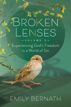 Broken Lenses, Emily Bernath