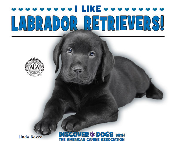 I Like Labrador Retrievers!, Linda Bozzo
