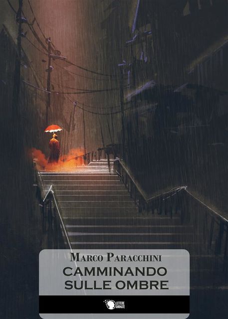 Camminando sulle ombre, Marco Paracchini