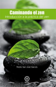 Caminando el Zen, Pedro San José Garcés