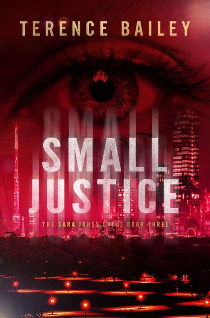 Small Justice, Terence Bailey