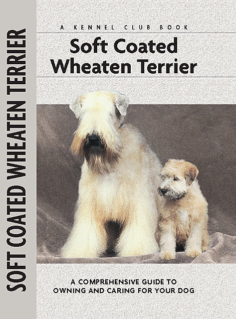 Soft Coat Wheaten Terrier, Juliette Cunliffe