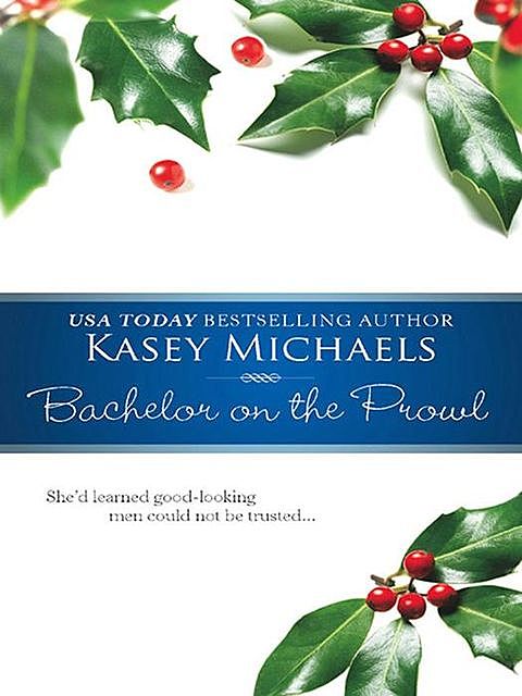 Bachelor on the Prowl, Kasey Michaels