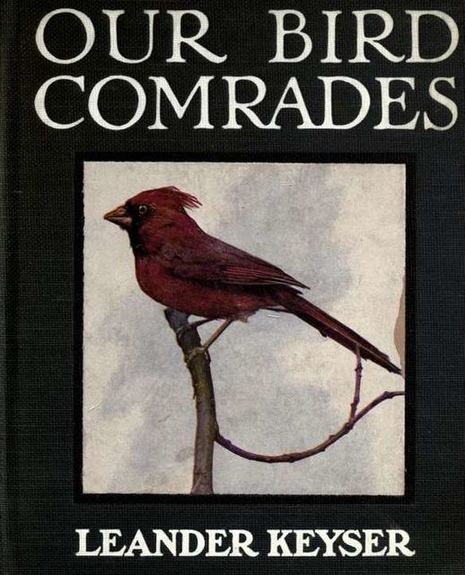 Our Bird Comrades, Leander S.Keyser