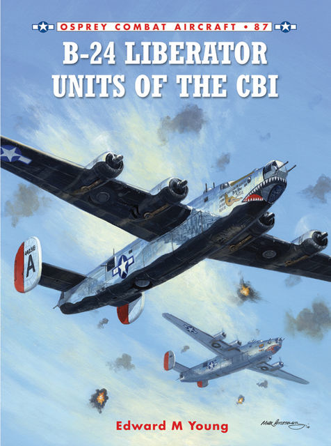 B-24 Liberator Units of the CBI, Edward Young
