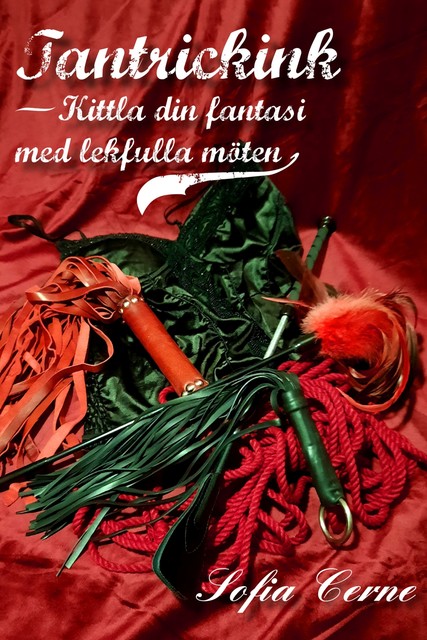 Tantrickink – Kittla din fantasi med lekfulla möten, Sofia Cerne