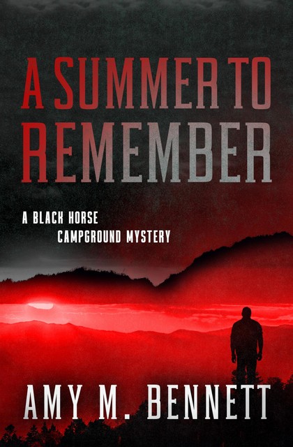 A Summer to Remember, Amy M Bennett