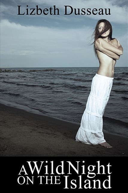 A Wild Night On The Island & Other Stories, Lizbeth Dusseau