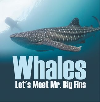 Whales – Let's Meet Mr. Big Fins, Baby Professor