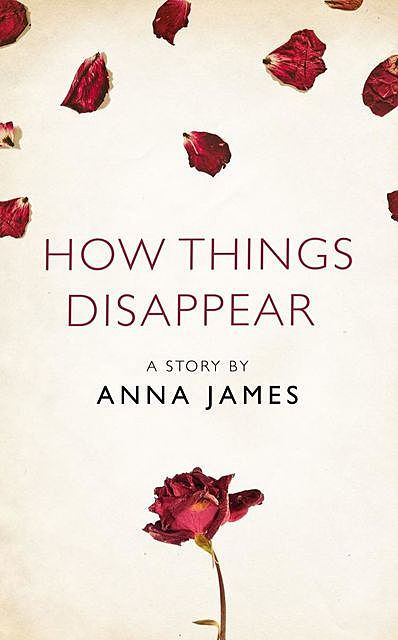 How Things Disappear, Anna James