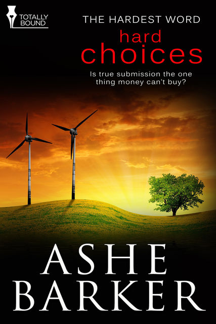 Hard Choices, Ashe Barker
