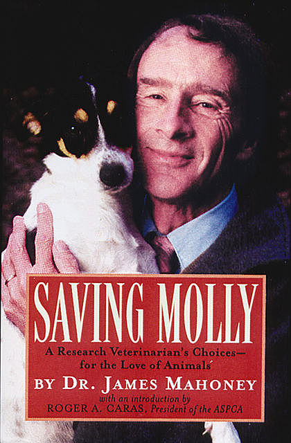 Saving Molly, James Mahoney