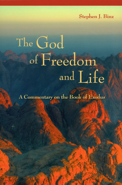 The God of Freedom and Life, Stephen Binz