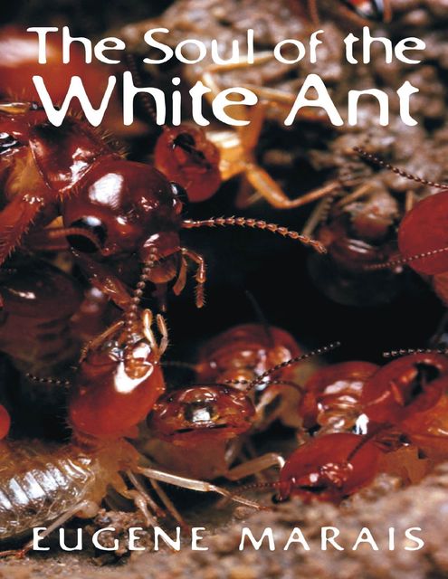 The Soul of the White Ant, Eugene Marais