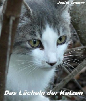 Das Lächeln der Katzen, Judith Cramer