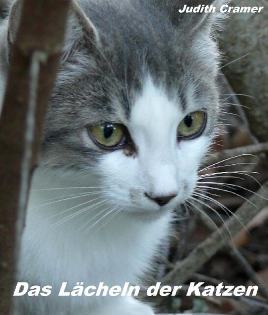 Das Lächeln der Katzen, Judith Cramer
