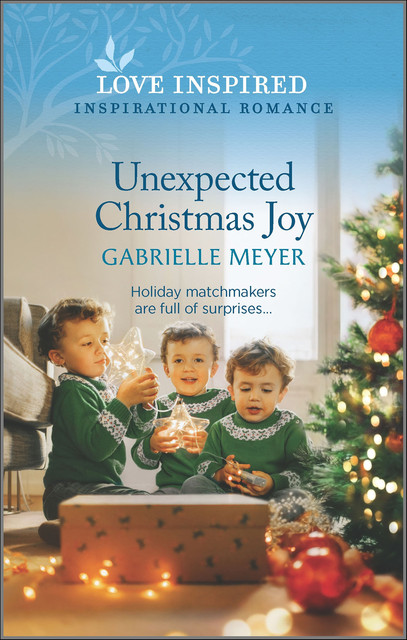 Unexpected Christmas Joy, Gabrielle Meyer