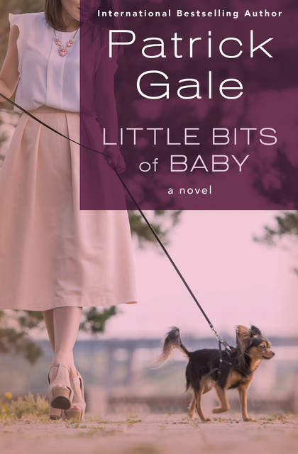 Little Bits of Baby, Patrick Gale