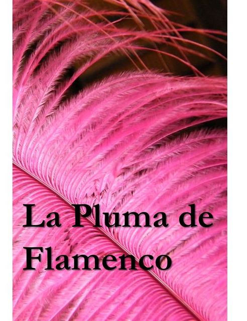 La Pluma de Flamenco, Kirk Munroe