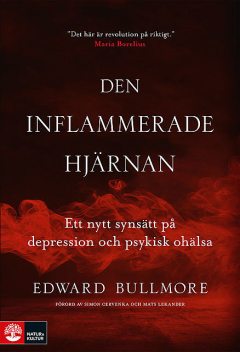 Den inflammerade hjärnan, Edward Bullmore