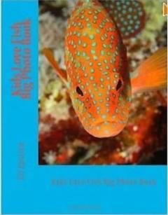 Kids Love Fish Big Photo Book, Eli Epstien
