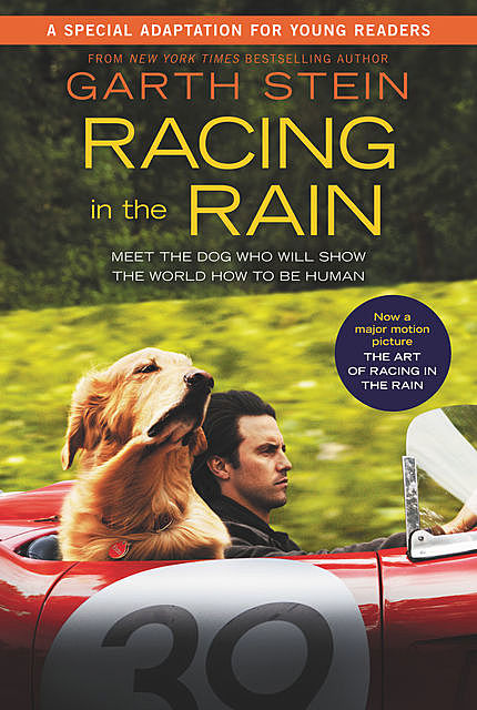 Racing in the Rain, Garth Stein