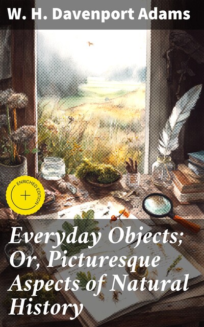 Everyday Objects; Or, Picturesque Aspects of Natural History, W.H.Davenport Adams