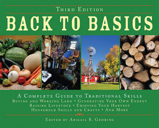 Back to Basics, Abigail R.Gehring