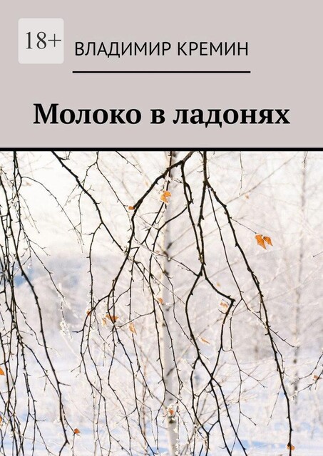 Молоко в ладонях, Владимир Кремин